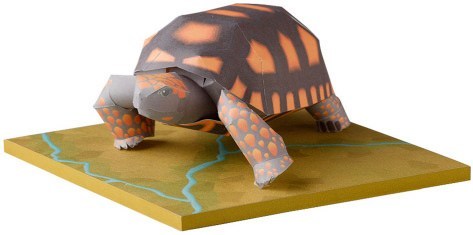 Зубчатая черепаха paper model