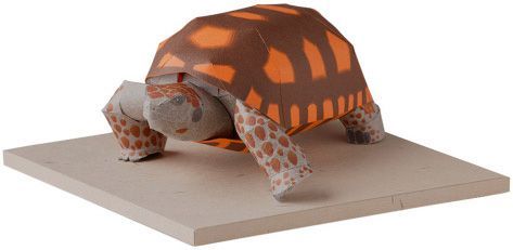 Зубчатая черепаха paper model