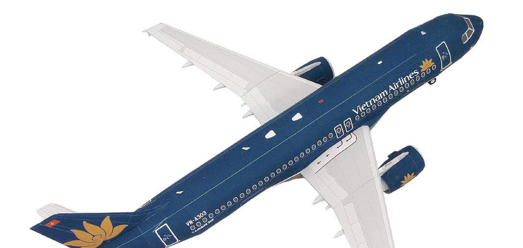 Авиалайнер Airbus A320 Vietnam Airlines paper model