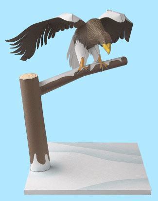 Белоплечий орлан paper model