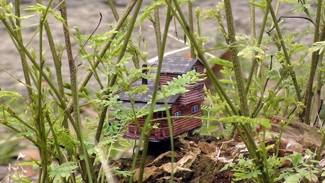 Домик на дереве paper model