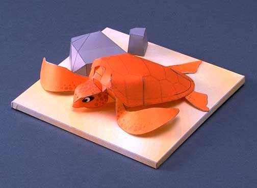 Логгерхед, головастая черепаха paper model