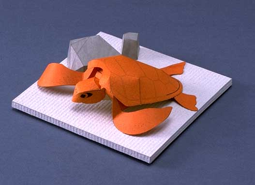 Логгерхед, головастая черепаха paper model