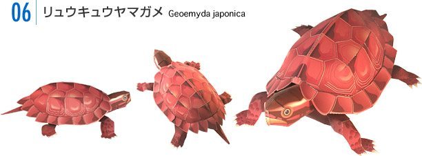 Горная японская черепаха paper model