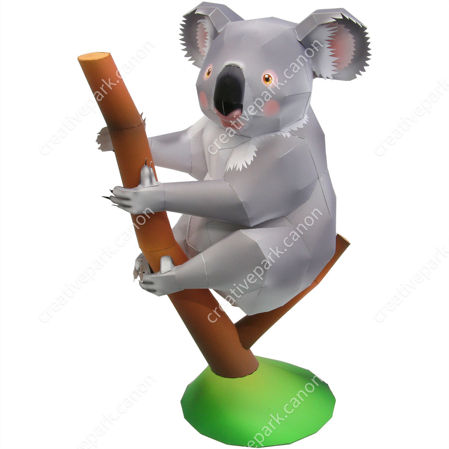 Коала
