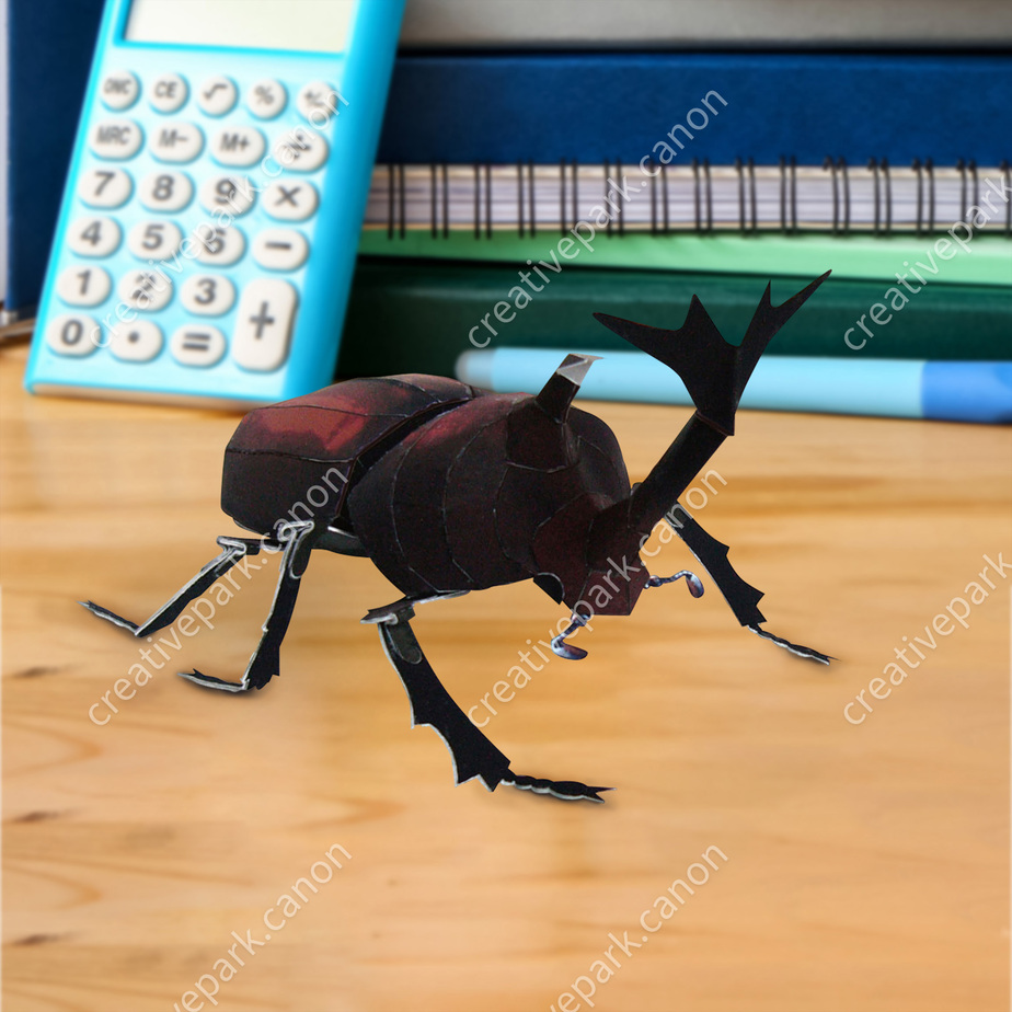Японский жук