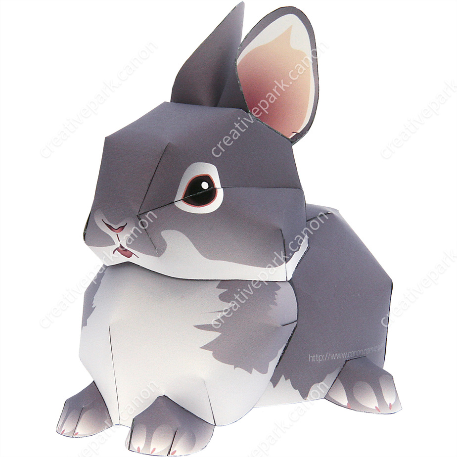 Нидерландский карлик paper model