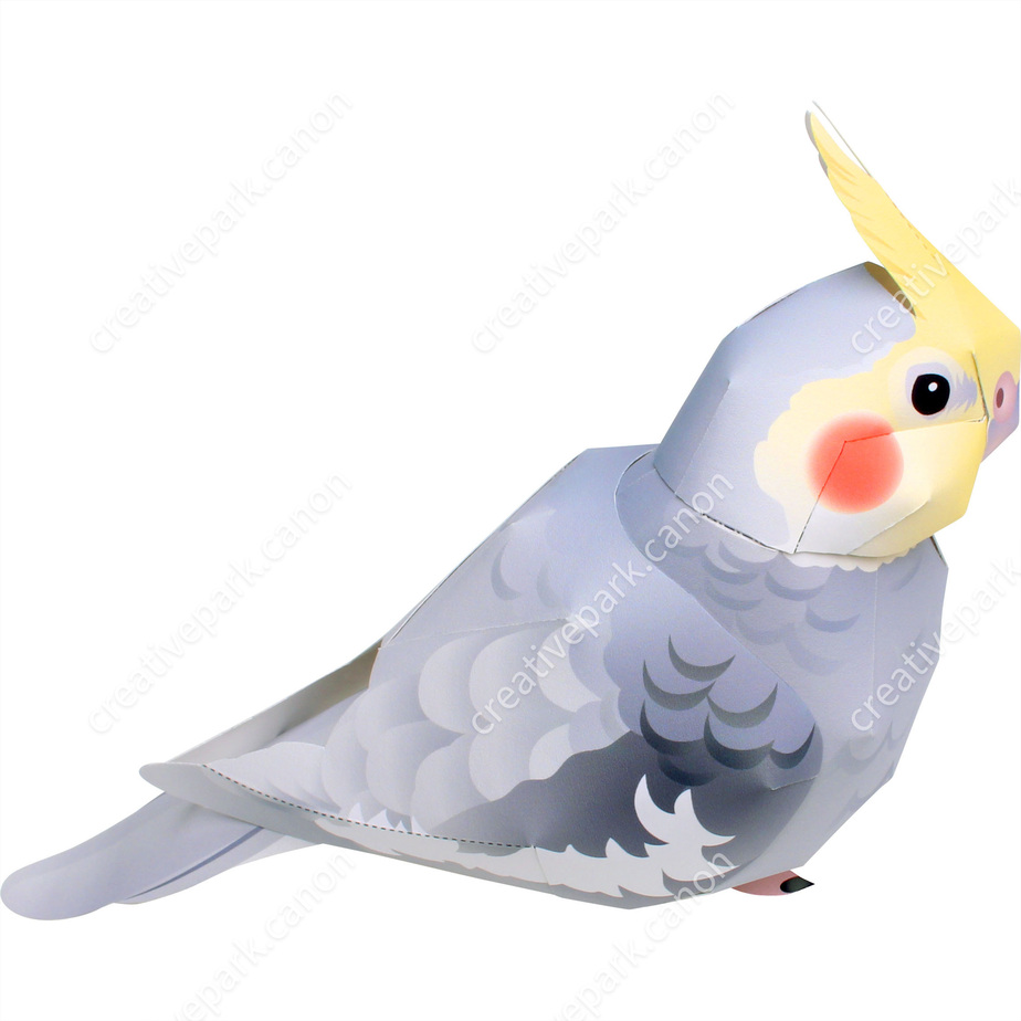 Корелла paper model