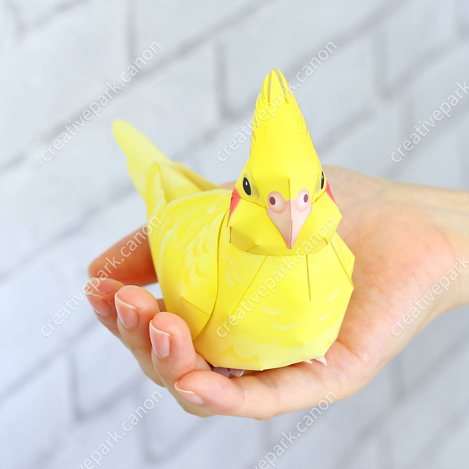 Корелла лютино paper model