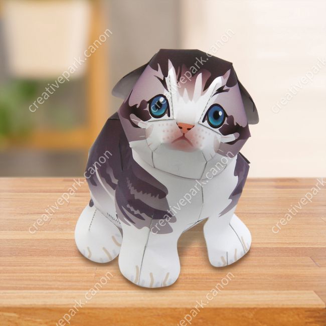 Шотландская вислоухая кошка paper model