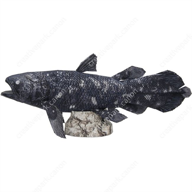 Латимерия paper model