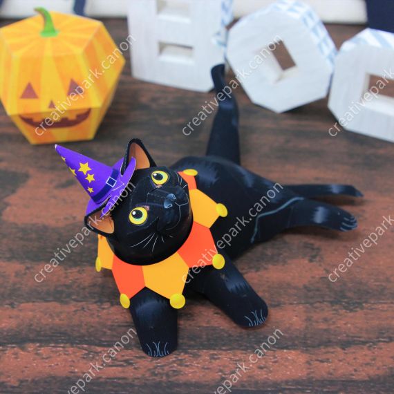 Чёрная кошка на Хэллоуин