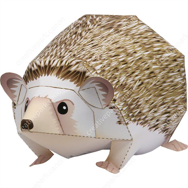 Четырёхпалый ёж paper model