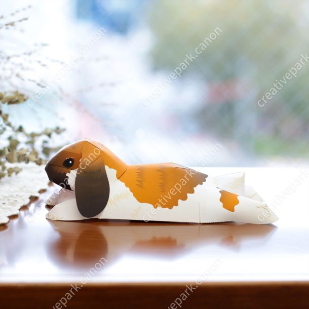 Голландский вислоухий кролик в покое paper model