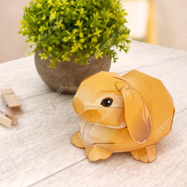 Голландский вислоухий кролик paper model