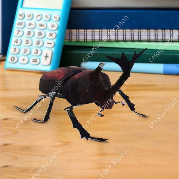 Японский жук