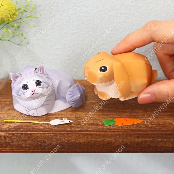 Норвежская лесная кошка и голландский вислоухий кролик: мини-версия