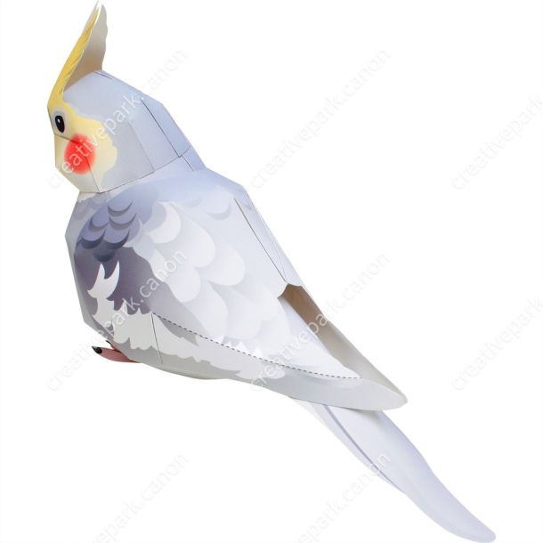 Корелла paper model