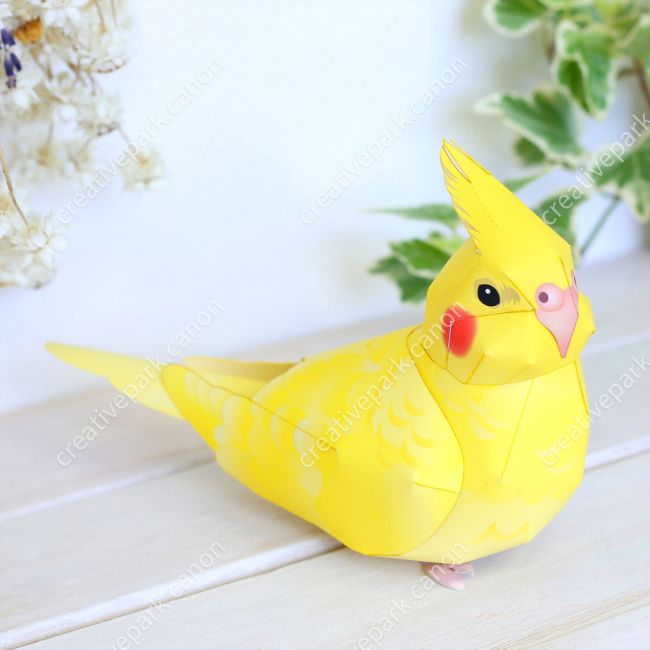 Корелла лютино paper model