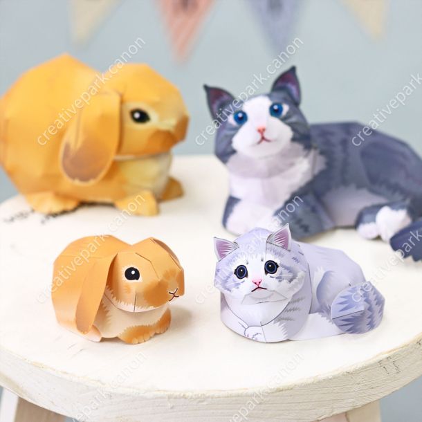 Норвежская лесная кошка и голландский вислоухий кролик: мини-версия paper model