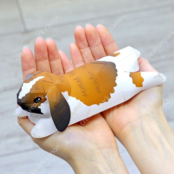 Голландский вислоухий кролик в покое paper model