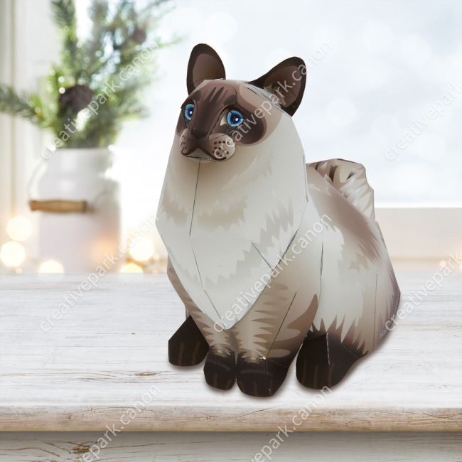 Рэгдолл paper model
