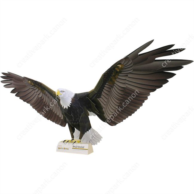 Белоголовый орлан paper model