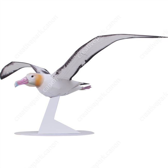 Альбатрос paper model