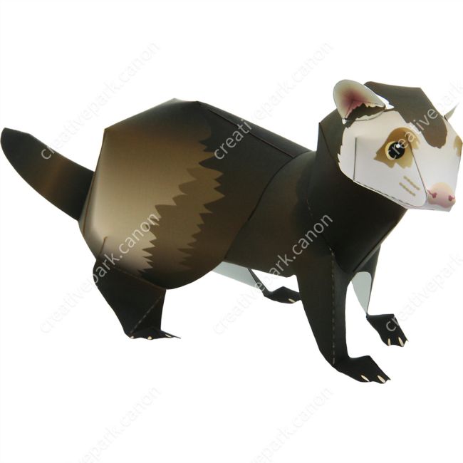 Хорёк paper model